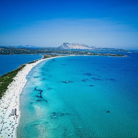 Alzoni * San Teodoro (Sardinia)