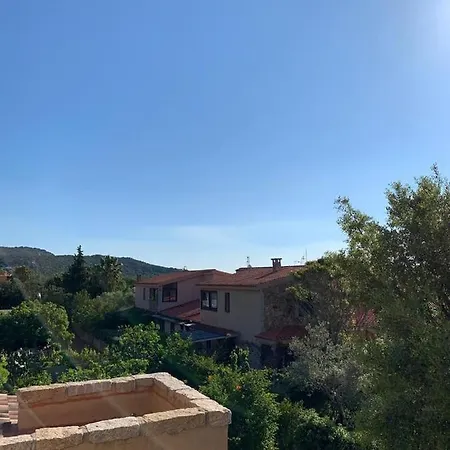 Alzoni